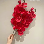 Two carmine orchids