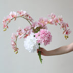[Upgraded Bouquet] Anna Pink (6 mixed large bouquets with moisturizing feel)