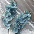 Two haze blue Phalaenopsis orchids height 68cm