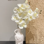 Two pure white Phalaenopsis orchids + spotted vase