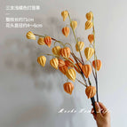 Three light orange lantern fruits