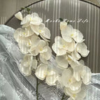 Two cream white Phalaenopsis orchids height 68cm