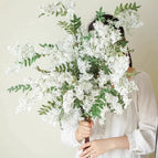【6 pieces】White Sophora japonica flower (best effect)