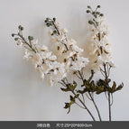 【3 pieces】White