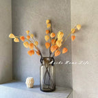 The two-handled brown vase does not contain the lantern fruit
