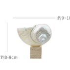 White snail-travertine square bottom