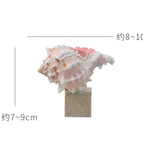 Red bone snail-travertine square bottom